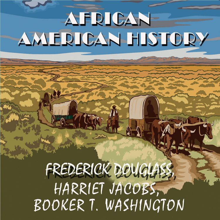 Produktbild: African American history