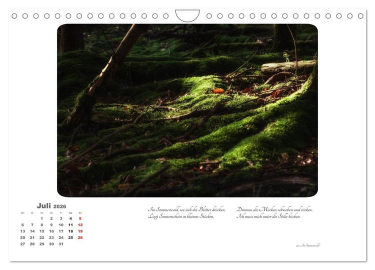 Produktbild: Max Dauthendey - Mit dem Wald durchs Jahr (Wandkalender 2026 DIN A4 quer), CALVENDO Monatskalender