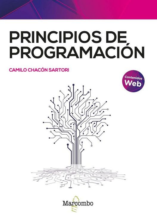 Produktbild: Principios de programaci&oacute;n