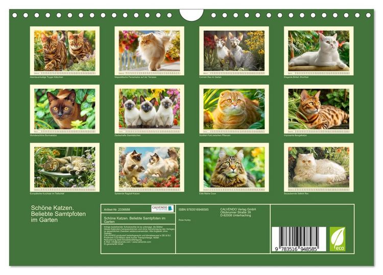 Produktbild: Sch&ouml;ne Katzen. Beliebte Samtpfoten im Garten (Wandkalender 2027 DIN A4 quer), CALVENDO Monatskalender