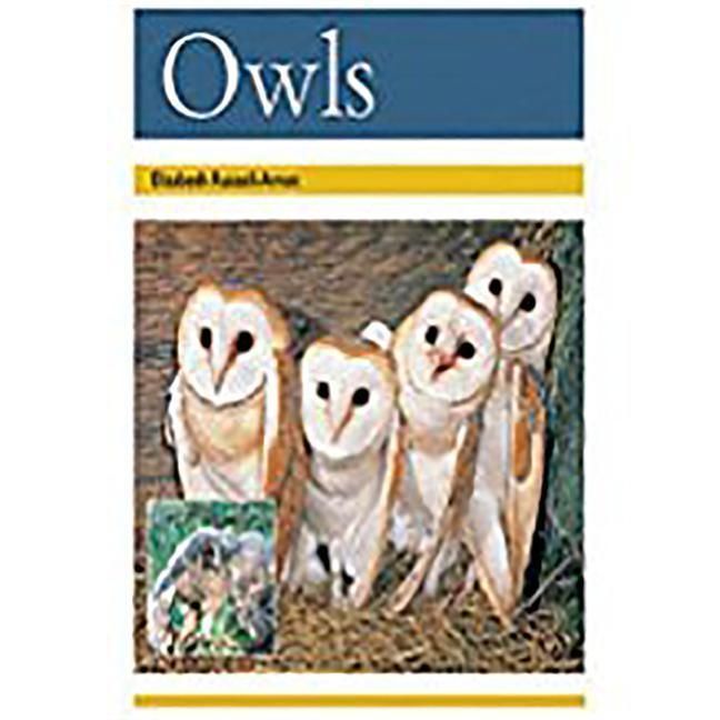 Produktbild: Owls: Leveled Reader Bookroom Package Gold (Levels 21-22)