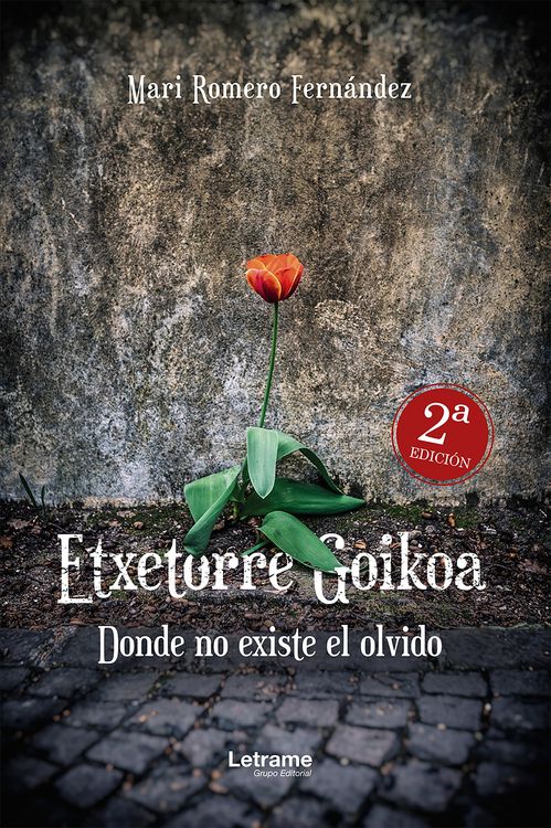 Produktbild: Etxetorre Goikoa