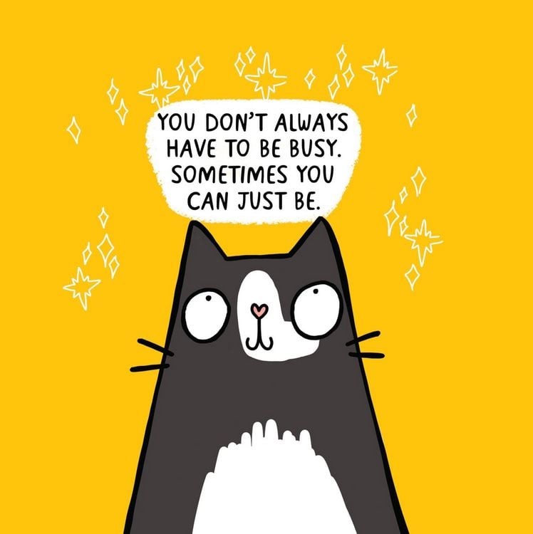 Produktbild: Cattitude