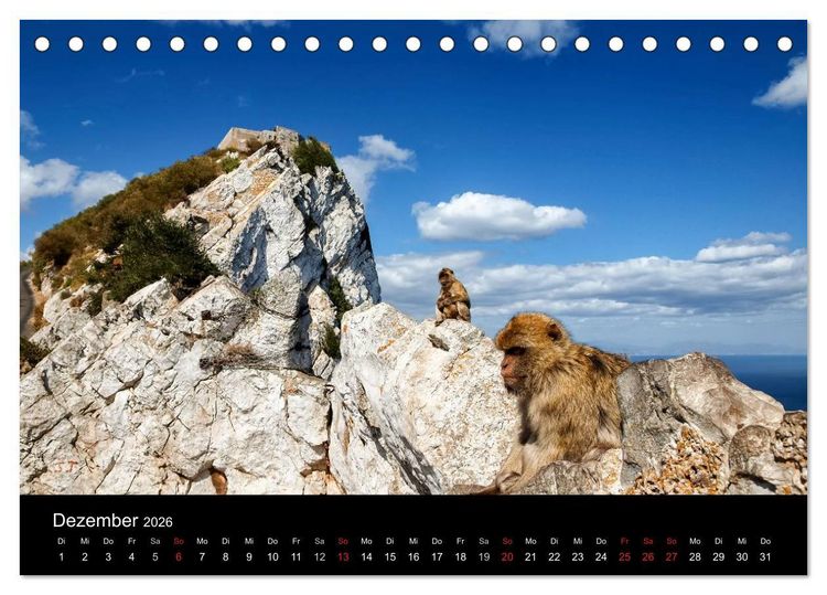 Produktbild: Gibraltar - der Affenfelsen (Tischkalender 2026 DIN A5 quer), CALVENDO Monatskalender