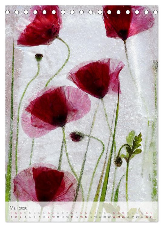 Produktbild: Blumen in Eis (Tischkalender 2026 DIN A5 hoch), CALVENDO Monatskalender