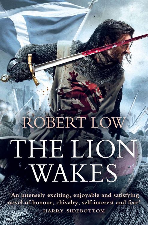 Produktbild: The Lion Wakes