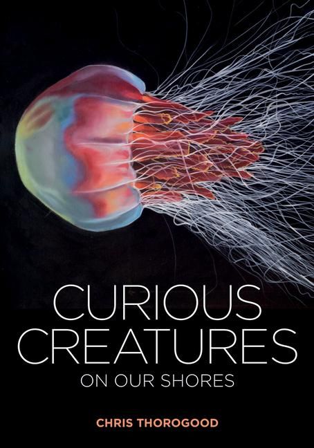 Produktbild: Curious Creatures on our Shores