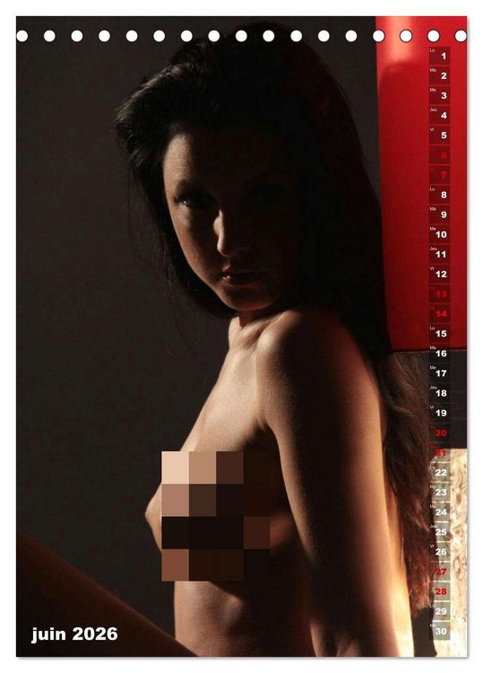Produktbild: Le feu rouge (Calendrier de bureau 2026 DIN A5 horizontal), CALVENDO calendrier mensuel