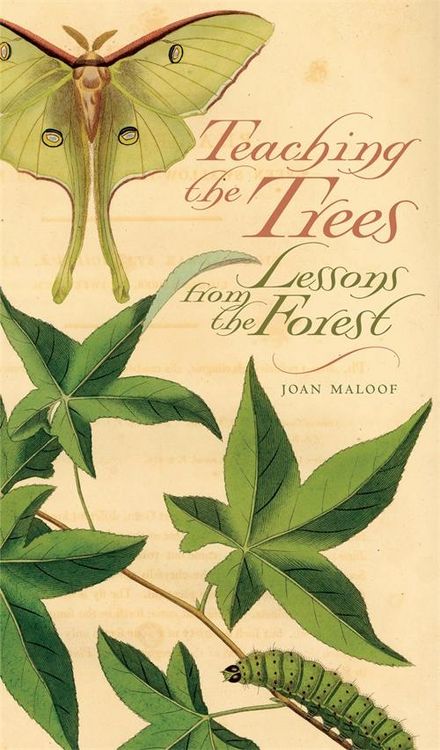 Produktbild: Teaching the Trees