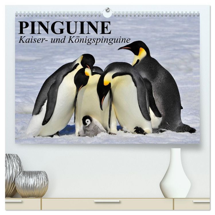 Produktbild: Pinguine - Kaiser- und K&ouml;nigspinguine (hochwertiger Premium Wandkalender 2026 DIN A2 quer), Kunstdruck in Hochglanz