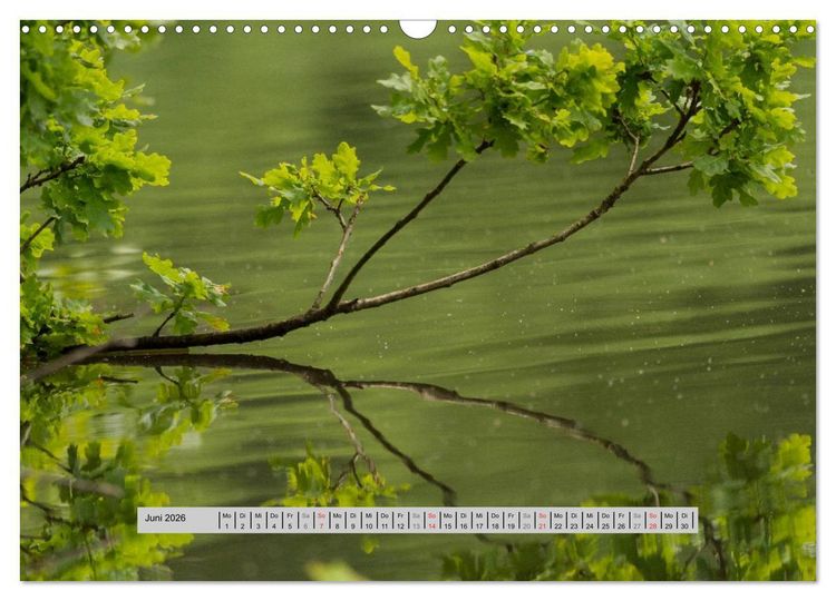 Produktbild: Perlen des Westerwaldes (Wandkalender 2026 DIN A3 quer), CALVENDO Monatskalender