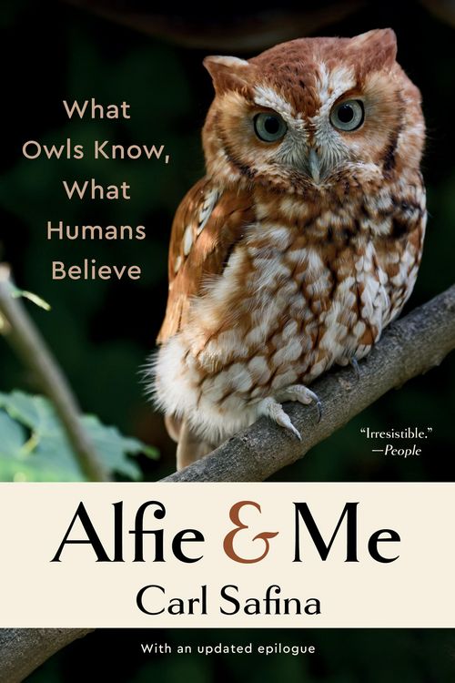 Produktbild: Alfie and Me