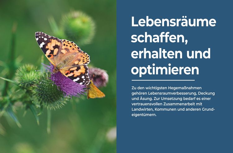 Produktbild: Das gro&szlig;e BLV Handbuch Niederwild