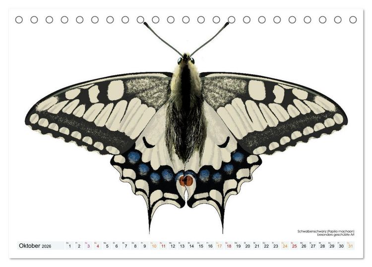 Produktbild: Schmetterlinge illustriert (Tischkalender 2026 DIN A5 quer), CALVENDO Monatskalender