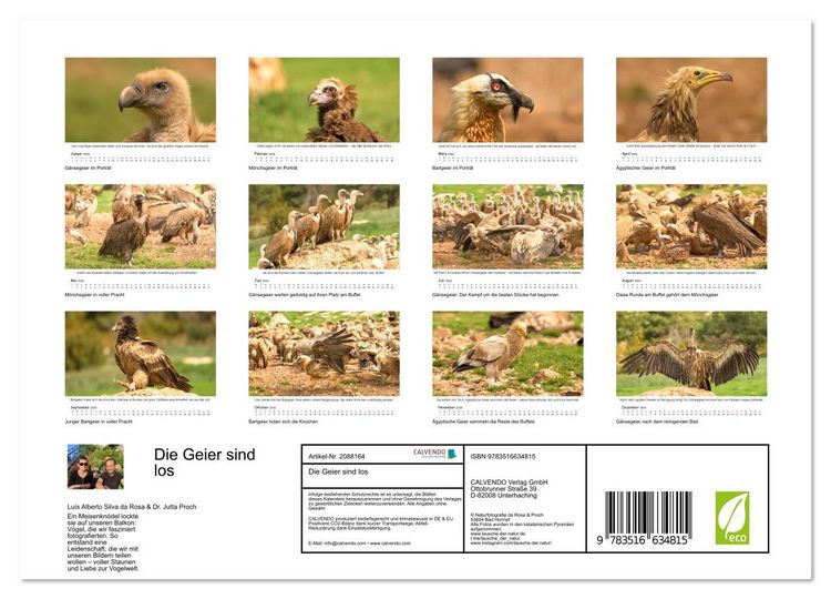 Produktbild: Die Geier sind los (Wandkalender 2026 DIN A4 quer), CALVENDO Monatskalender