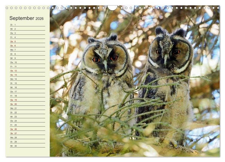 Produktbild: L&auml;ndliche Idylle zwischen Erzgebirge und Muldental (Wandkalender 2026 DIN A3 quer), CALVENDO Monatskalender