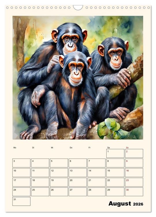 Produktbild: Schimpansen & Gorillas (Wandkalender 2026 DIN A3 hoch), CALVENDO Monatskalender