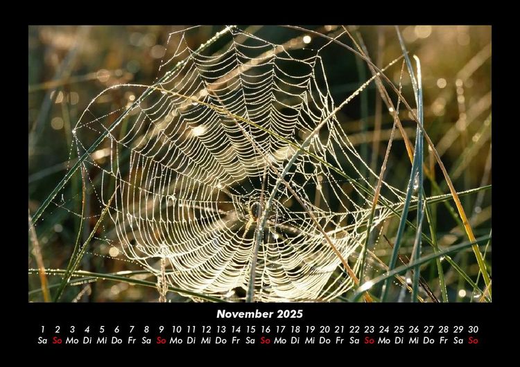 Produktbild: Natur 2025 Fotokalender DIN A3