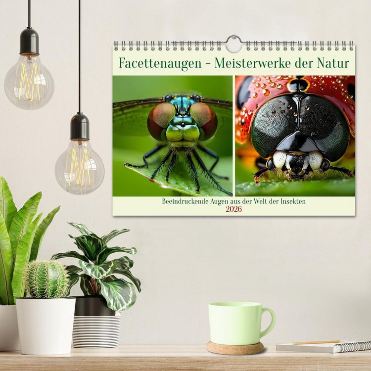 Produktbild: Facettenaugen - Meisterwerke der Natur (Wandkalender 2026 DIN A4 quer), CALVENDO Monatskalender