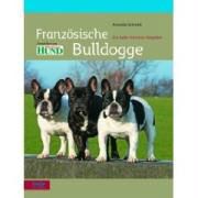 Produktbild: Franz&ouml;sische Bulldogge
