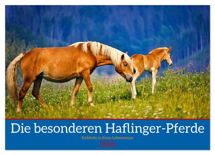 Produktbild: Die besonderen Haflinger-Pferde (Wandkalender 2026 DIN A3 quer), CALVENDO Monatskalender