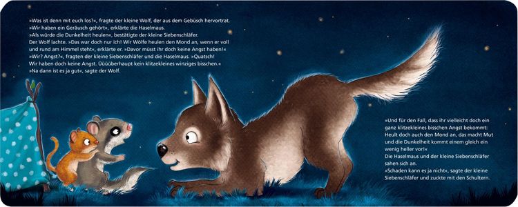 Produktbild: Der kleine Siebenschl&auml;fer 5: Die Geschichte vom kleinen Siebenschl&auml;fer, der &uuml;berhaupt keine Angst im Dunkeln hatte