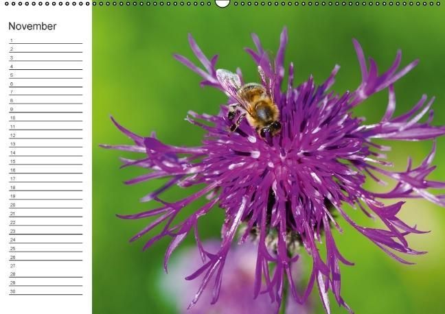 Produktbild: Ich denk an Dich ... Pers&ouml;nlicher Terminkalender (Wandkalender immerw&auml;hrend DIN A2 quer)