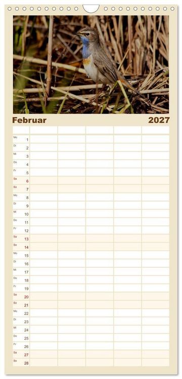 Produktbild: Familienplaner 2027 - V&ouml;gel ganz nah mit 5 Spalten (Wandkalender, 21 x 45 cm) CALVENDO
