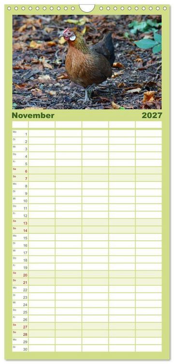 Produktbild: Familienplaner 2027 - Die Welt der H&uuml;hner mit 5 Spalten (Wandkalender, 21 x 45 cm) CALVENDO