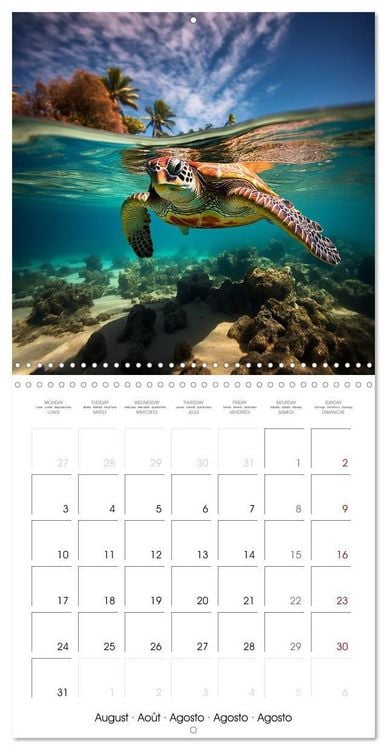 Produktbild: Beside tropical beaches (Wall Calendar 2026 12 &times; 12 Inch) CALVENDO 12 Month Wall Calendar