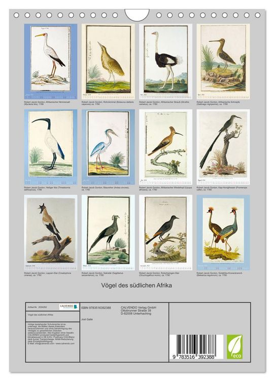 Produktbild: V&ouml;gel des s&uuml;dlichen Afrika (Wandkalender 2026 DIN A4 hoch), CALVENDO Monatskalender