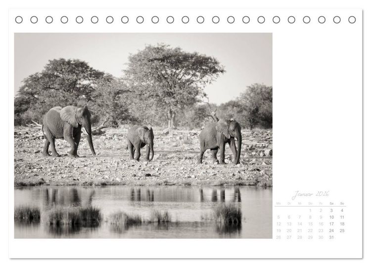 Produktbild: Elefanten in Etosha (Tischkalender 2026 DIN A5 quer), CALVENDO Monatskalender