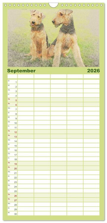 Produktbild: Familienplaner 2026 - Airedale Terrier 2026 mit 5 Spalten (Wandkalender, 21 x 45 cm) CALVENDO