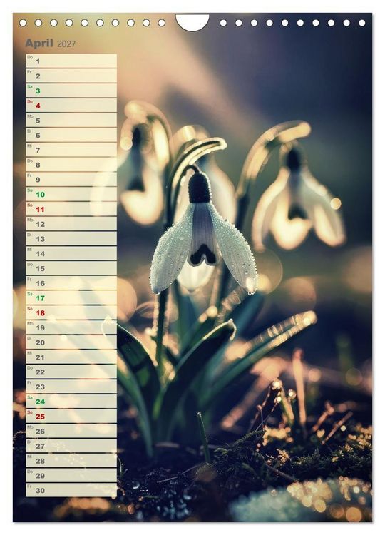 Produktbild: D&uuml;nen und Buhnen (Wandkalender 2027 DIN A4 hoch), CALVENDO Monatskalender