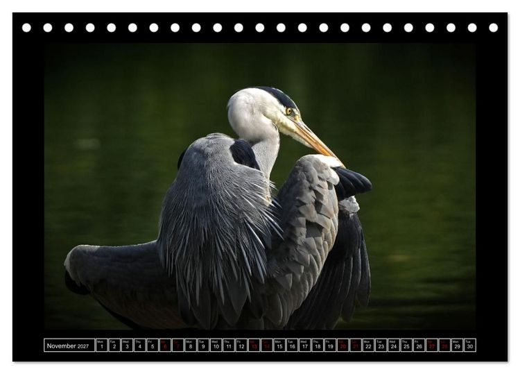Produktbild: The heron parade (Desk Calendar 2027 DIN A5 landscape), CALVENDO 12 Month DeskCalendar