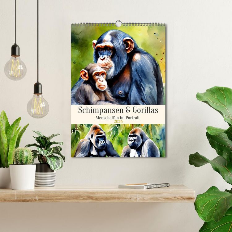Produktbild: Schimpansen & Gorillas (Wandkalender 2026 DIN A3 hoch), CALVENDO Monatskalender