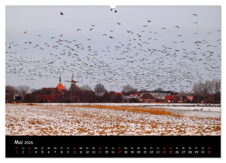 Produktbild: Schrei der Wildg&auml;nse (Wandkalender 2026 DIN A2 quer), CALVENDO Monatskalender