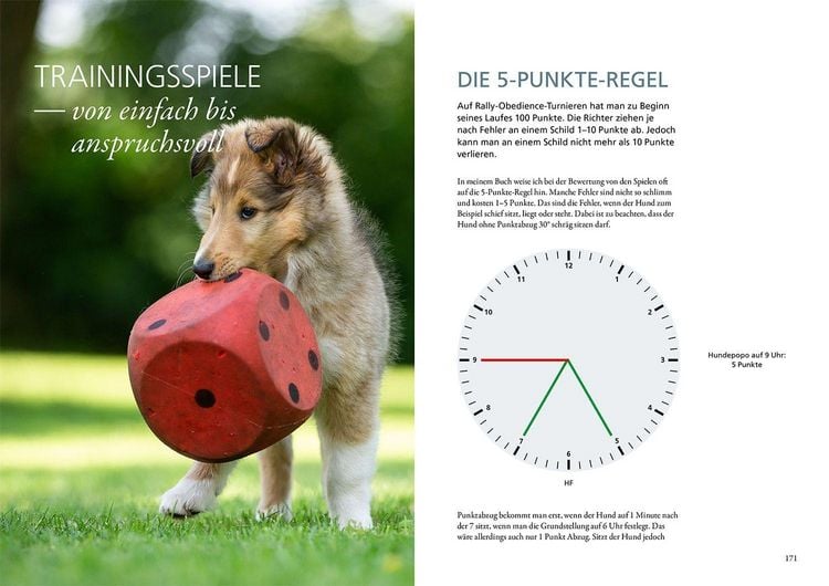Produktbild: Rally Obedience