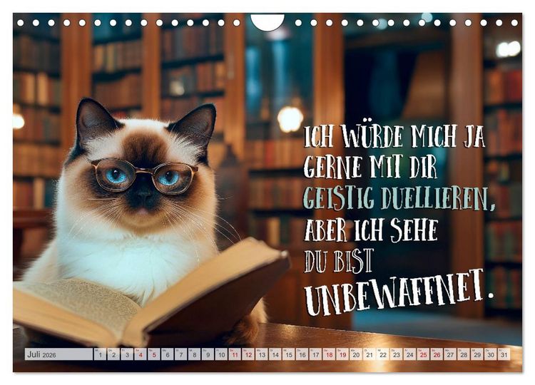 Produktbild: Katzenlogik - Wenn Blicke miauen k&ouml;nnten (Wandkalender 2026 DIN A4 quer), CALVENDO Monatskalender