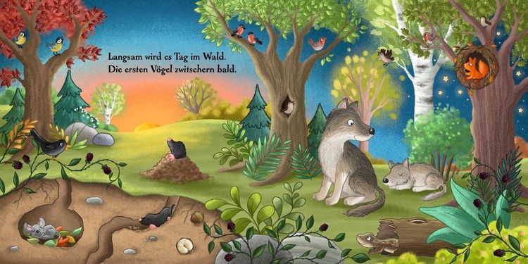 Produktbild: Es wird Tag hier im Wald