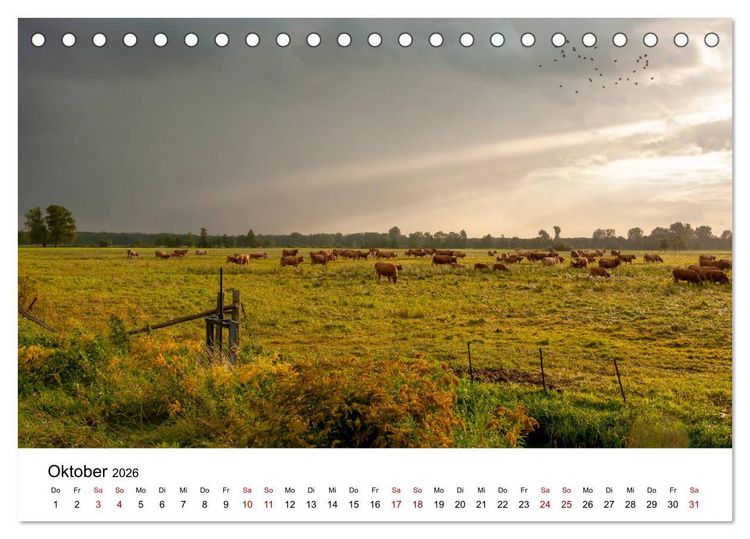 Produktbild: Unterwegs im Spreewald (Tischkalender 2026 DIN A5 quer), CALVENDO Monatskalender