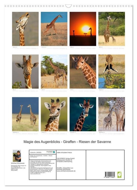 Produktbild: Magie des Augenblicks - Giraffen - Riesen der Savanne (Wandkalender 2027 DIN A2 hoch), CALVENDO Monatskalender