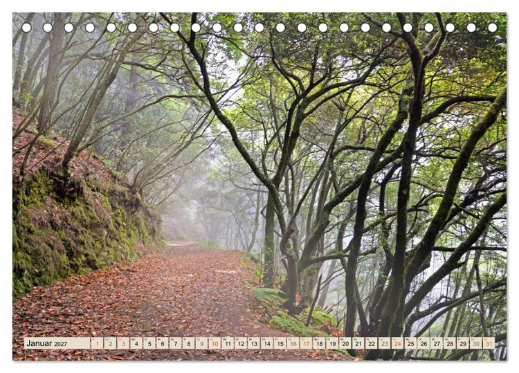 Produktbild: Magic Moments - LA PALMA (Tischkalender 2027 DIN A5 quer), CALVENDO Monatskalender