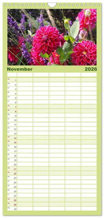 Produktbild: Familienplaner 2026 - Traumhafte Dahlien mit 5 Spalten (Wandkalender, 21 x 45 cm) CALVENDO