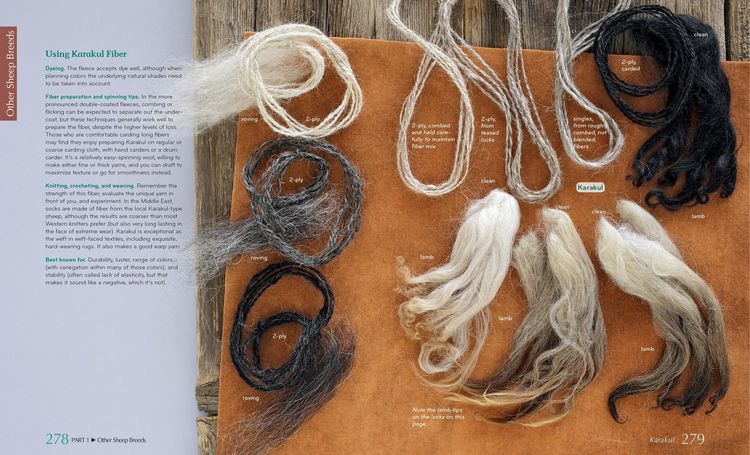 Produktbild: The Fleece & Fiber Sourcebook