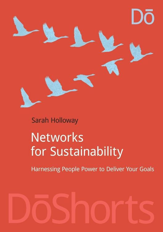 Produktbild: Networks for Sustainability
