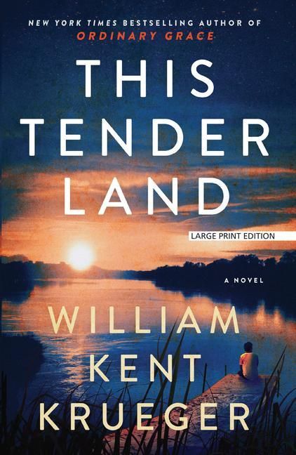 Produktbild: This Tender Land