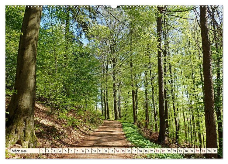 Produktbild: Vom Ried an die Bergstra&szlig;e, durch den Odenwald ins Neckartal (hochwertiger Premium Wandkalender 2026 DIN A2 quer), Kunstdruck in Hochglanz
