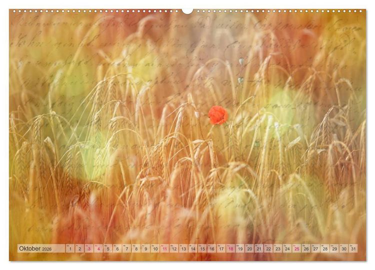 Produktbild: Vintage Nature - Romantische Naturaufnahmen (Wandkalender 2026 DIN A2 quer), CALVENDO Monatskalender