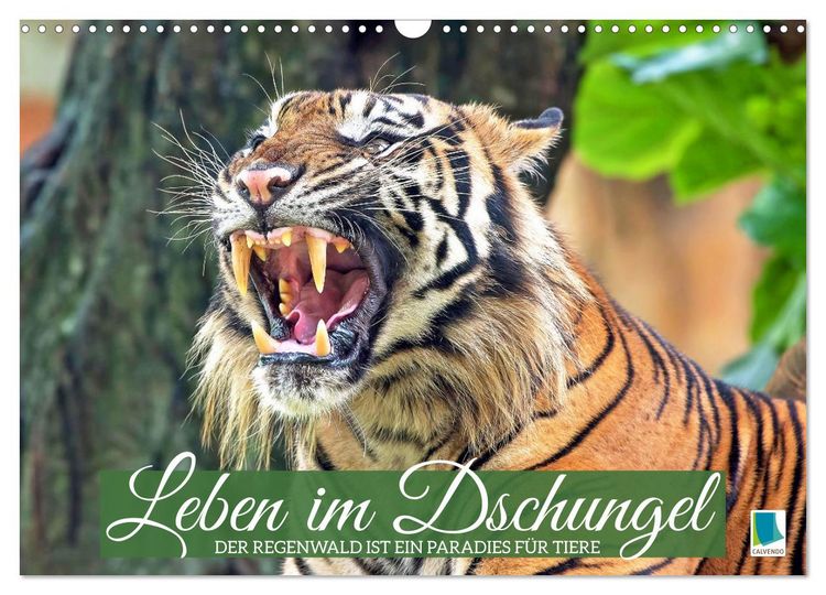 Produktbild: Leben im Dschungel: Der Regenwald ist ein Paradies f&uuml;r Tiere (Wandkalender 2026 DIN A3 quer), CALVENDO Monatskalender